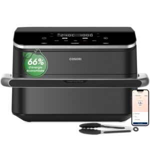 Air Fryer 10L Twinfry, Friteuse sans Huile Double Résistance, Airfryer à Dual Zone Avec Séparateur Amovible